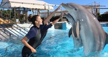 Costa Del Sol Apartment Benalmádena Pokój zdjęcie